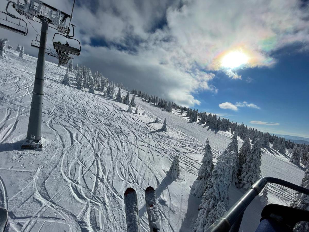 Apartmán Pano Kopaonik Panorama Exteriér fotografie